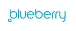 Logo firmy Blueberry