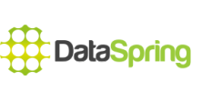 Logo firmy DataSpring
