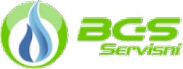 Logo firmy BGS Servisní