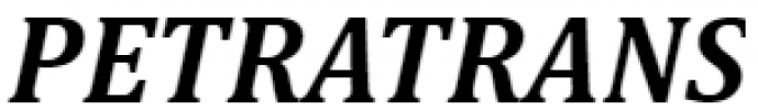 Logo firmy PETRATRANS