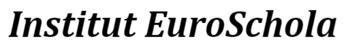 Logo firmy Institut EuroSchola