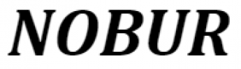 Logo firmy NOBUR