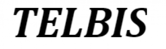 Logo firmy TELBIS