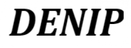 Logo firmy DENIP