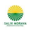 Logo firmy SALIX MORAVA