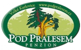 Logo firmy Penzion pod Pralesem