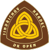 Logo firmy DK OPEN