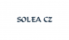 Logo firmy Solea