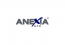 Logo firmy Anexie