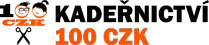 Logo firmy 100 CZK