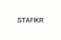 Logo firmy STAFIKR