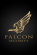 Falcon security